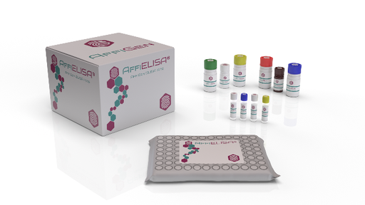 [AFG-YBE-0003] AffiELISA® Human chemerin ELISA Kit